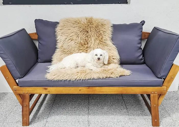 Sandra Falch By Interhome