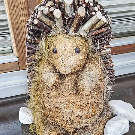 Sandra Falch By Interhome Daire Flirsch